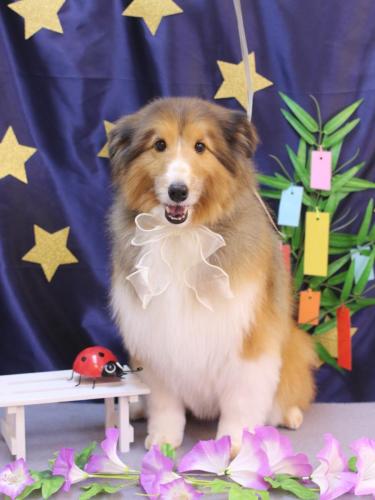 20230702リクくん